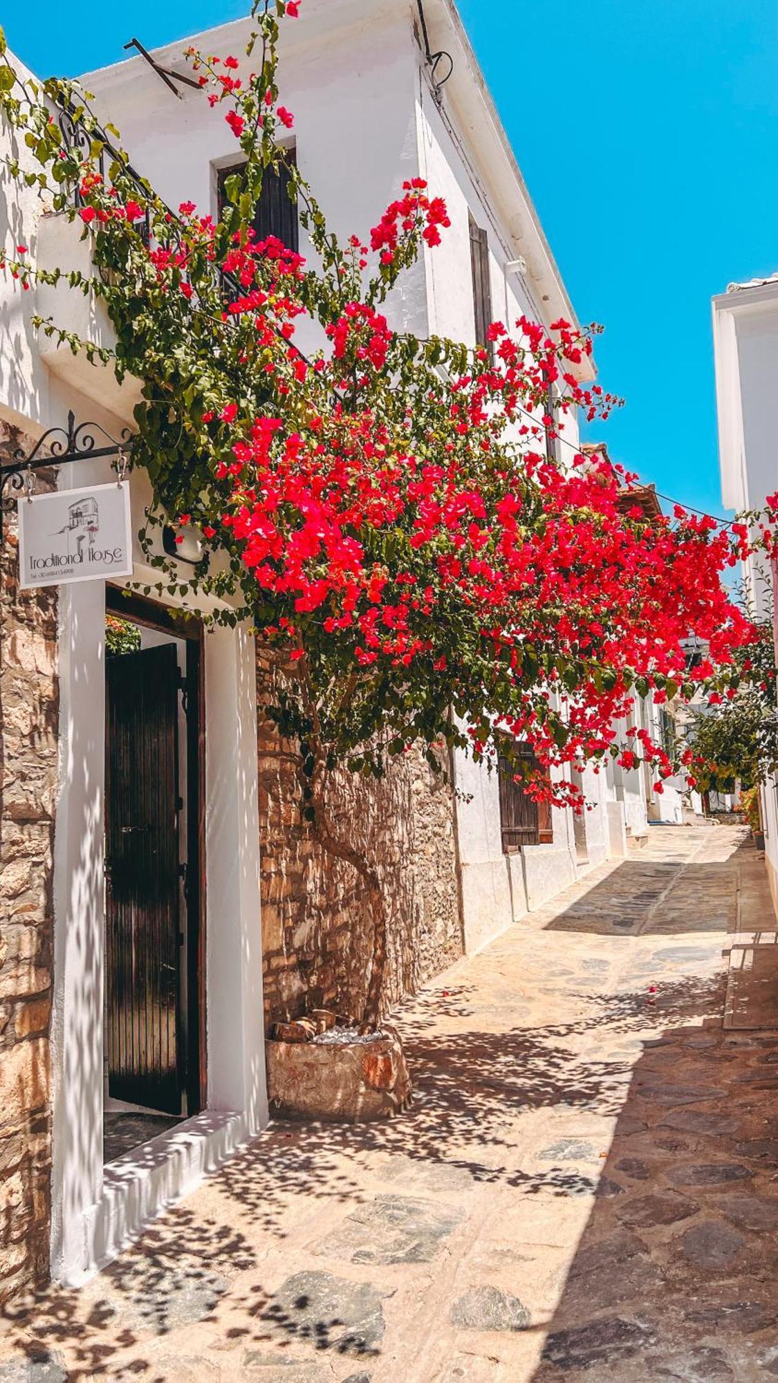 Traditional House Skopelos Eksteriør billede